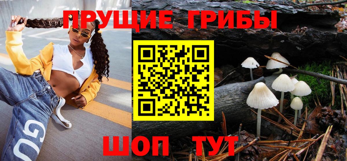 Псилоцибиновые грибы GOLDEN TEACHER  Вход с VPN  Бугульма 